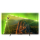 Philips 65PUS8118 65" LED 4K Ambilight x3 Dolby Atmos Dolby Vision - 1163492 - zdjęcie